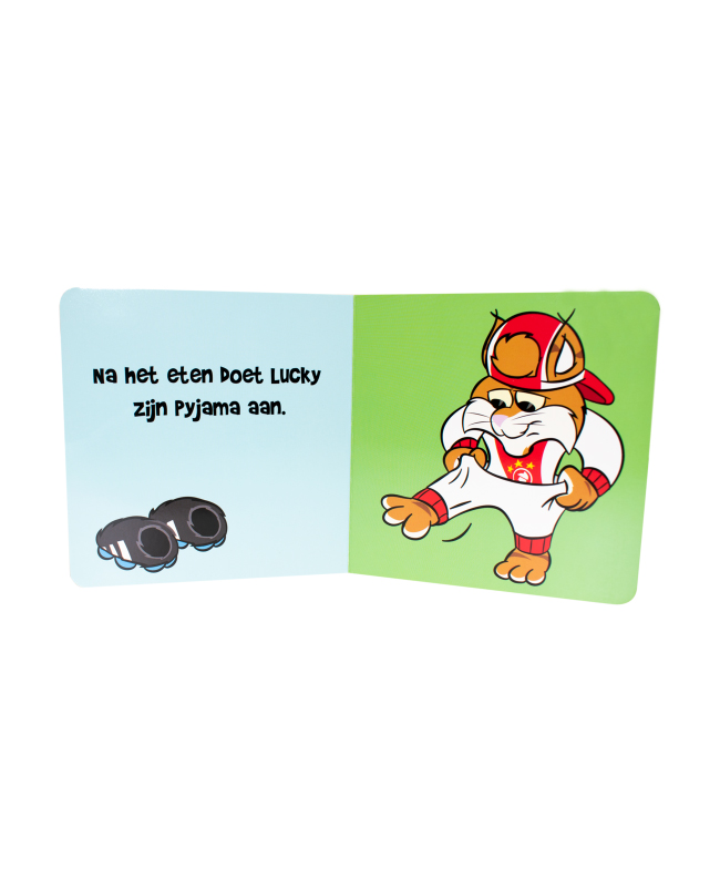 Gekartonneerd-boek2